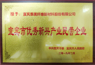 宜宾市优秀新兴产业民营企业
